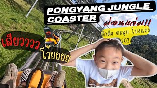 Pongyang Jungle Coaster l โป่งแยง จังเกิ้ล โคสเตอร์ & ซิปไลน์ l ม่อนแจ่ม เชียงใหม่