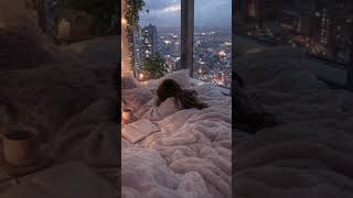 Deep Sleep &amp; Cellular Healing Subliminal • 1 Hours Insomnia Relief &amp; Full Body Restoration