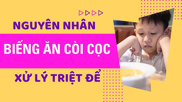 7 Nguyên Nhân Khiến Trẻ Biếng Ăn Còi Cọc Chậm Lớn