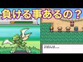 HP満タンのストライクが負ける事って…検証した【ポケモンHGSS】