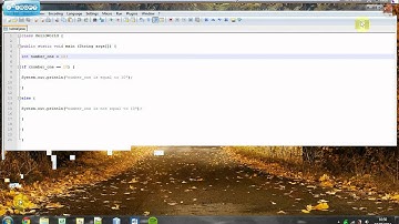 Understanding Java | If-Else Statement | Tutorial #8