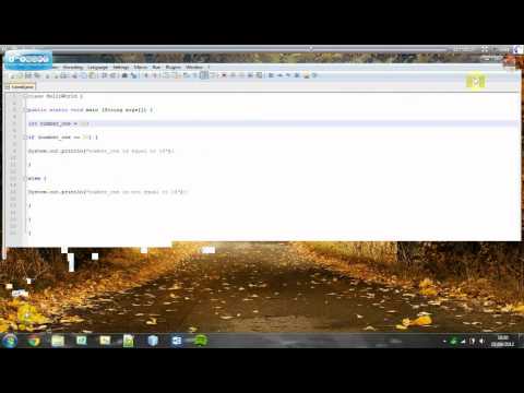 Understanding Java | If-Else Statement | Tutorial #8