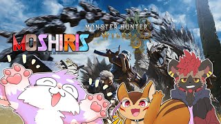 【モンハンワイルズ】ストーリー完全クリアを駆け抜けるモしリス！【毛玉の視点】