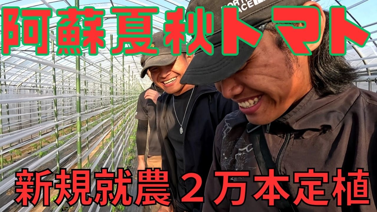 【２０２６定植】新規就農ゼロからスタート1ヘクタール、２万本の苗を植えるとです