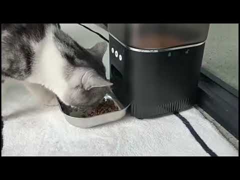 Smart feeder Automatic pet feed with APP control #smartpet #smartpetfeeder