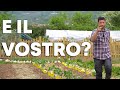 ORTO di FINE APRILE: tutto pronto!