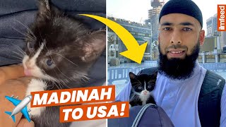 HE ADOPTED A SICK KITTEN FROM MADINAH!