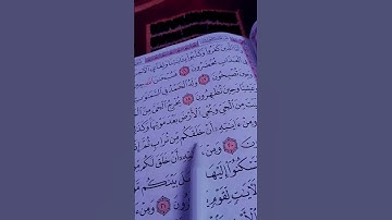 سورة الروم 🤍  الشيخ ياسر الدوسري