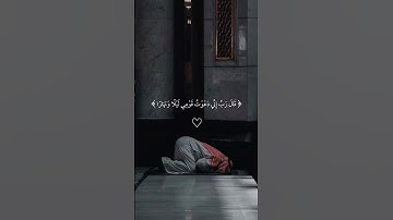 #القرآن_الكريم #آية_الكرسي #سورة_البقرة #اعتني #اكسبلور #لايك #colonelkkjϟ #اهميه #دويتو #المراه