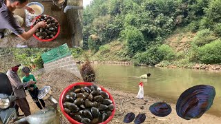 Harvest mussels and snails in a large lake to sell