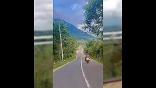 Story wa ll jalan jalan di siang hari naik motor menuju kebun teh