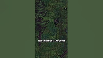 Zakov Dog Training 🐕🦴 #zerosievert #gaming #gamingclips #fyp #shorts #tiktok #kickstreaming