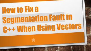 How to Fix a Segmentation Fault in C++ When Using Vectors