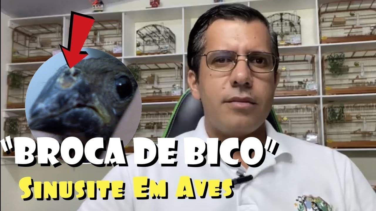 “BROCA” DE BICO EM AVES