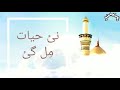 Hussain Meray Hai | Muharram WhatsApp Status (1440) 2018 HD | (Urdu Version) Hafiz Ahmed Raza Qadri Whatsapp Status Video Download Free