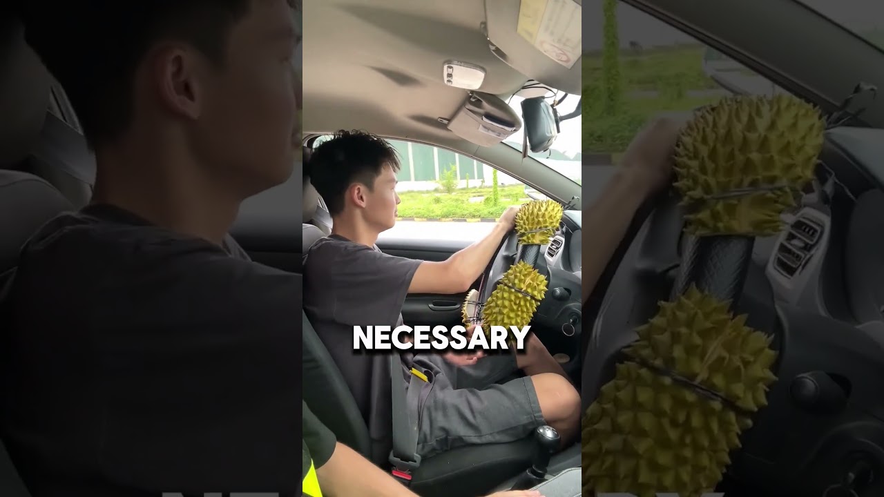 Unique way to learn how to drive