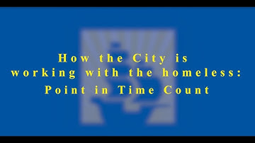 Working with the Homeless - Point in Time Count 2019