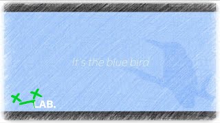Violite - Blue Bird Official Lyric Video