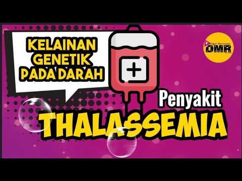 Penyakit Thalassemia I Kelainan genetik pada darah (eritrosit)