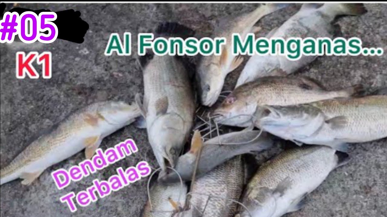 16-3-2022 RABU Al Fonsor balas dendam kaw2 hawauuu🎣 kolam delek 1🏆wak jas dah x kumpau😅