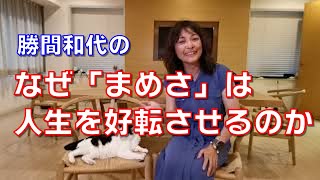 なぜ「まめさ」は人生を好転させるのか