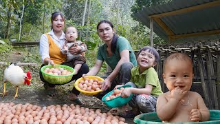 Harvesting chicken eggs, selling at the market, farm life, survival alone