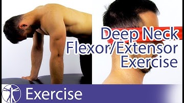 Neck Pain Exercises for aspecific Neck Pain | Deep Cervical Flexors & Extensors