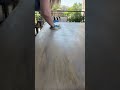 My top 3 tips for sealing your wood projects