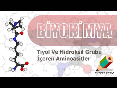 Video: Hidroksil grupları hidrofilik midir?