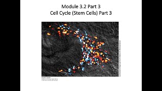 BIOL 4610 Module 3.2 Part 3