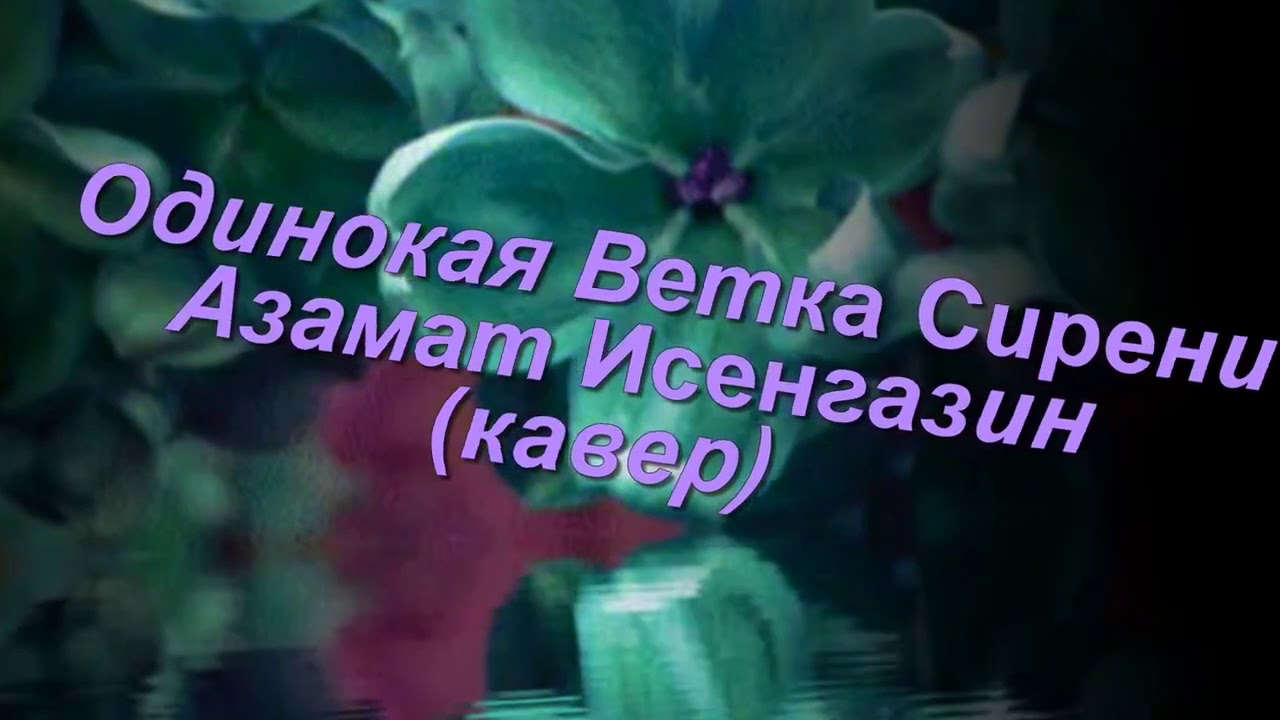 Одинокая ветка сирени караоке словами