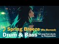 [FullSong] Spring Breeze (Re-Borned) / Trichosanthes #DnB #dance #RnB #edm #hardcore #rap
