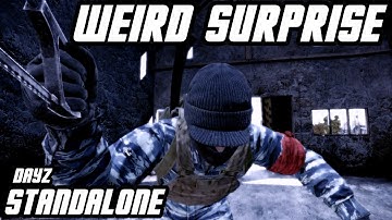 A Weird Surprise! // DayZ Standalone