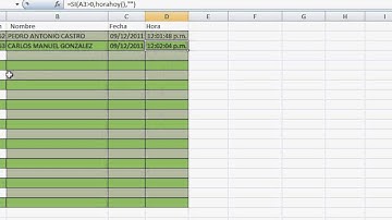 planilla de control de acceso usando excel - sencilla y rapida