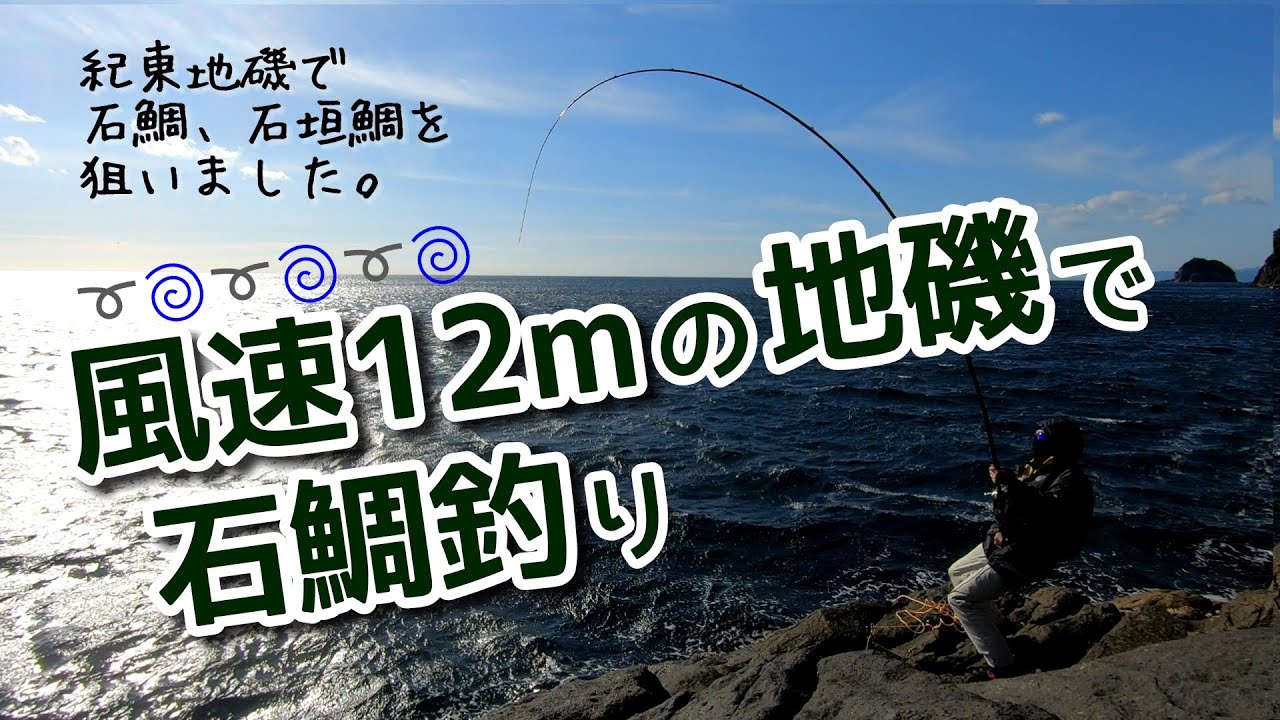 三重県熊野へ石鯛釣りに行ってきました。2024年12月7日 (小潮) 今シーズン3回目の底物 釣りです。風がめちゃめちゃ強い１日でした #石鯛  #石鯛釣り #イシダイ #磯釣 #fishing