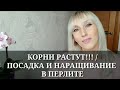 КОРНИ ОРХИДЕИ РАСТУТ!!! / ПОСАДКА И НАРАЩИВАНИЕ КОРНЕЙ В ПЕРЛИТЕ / ПОДРОБНАЯ ИНСТРУКЦИЯ ПОСАДКИ