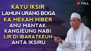 KAYU IKSIR | ABUYA UCI