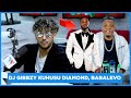 DIAMOND AHESHIMIWE/ MIMI WAKIGOMA KAMA BABALEVO / KANIACHA, KWASABABU SITUMII HELA - DJ GIBBZY