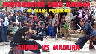 Penyambutan suku Madura di tanah Pasundan Sunda vs Madura