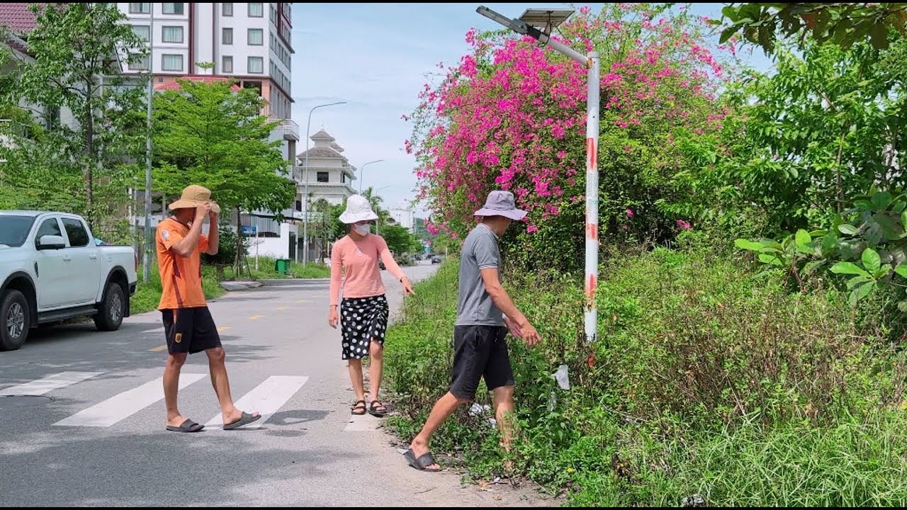 Соседи раскрыли правду о тротуаре, 14 лет покрытом сорняками