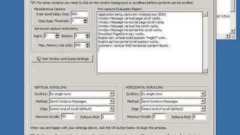 Screenshot Captor Demo - Basic Scrolling Window