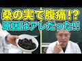 本当に桑の実食べたらお腹が痛くなるのか！？/ 米村でんじろう[公式]