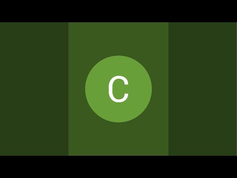 СТИЧ в прямом эфире!
