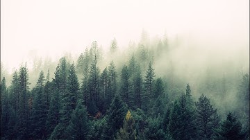 What are Two Big Mistakes to Avoid When Submitting Paperwork to USCIS?