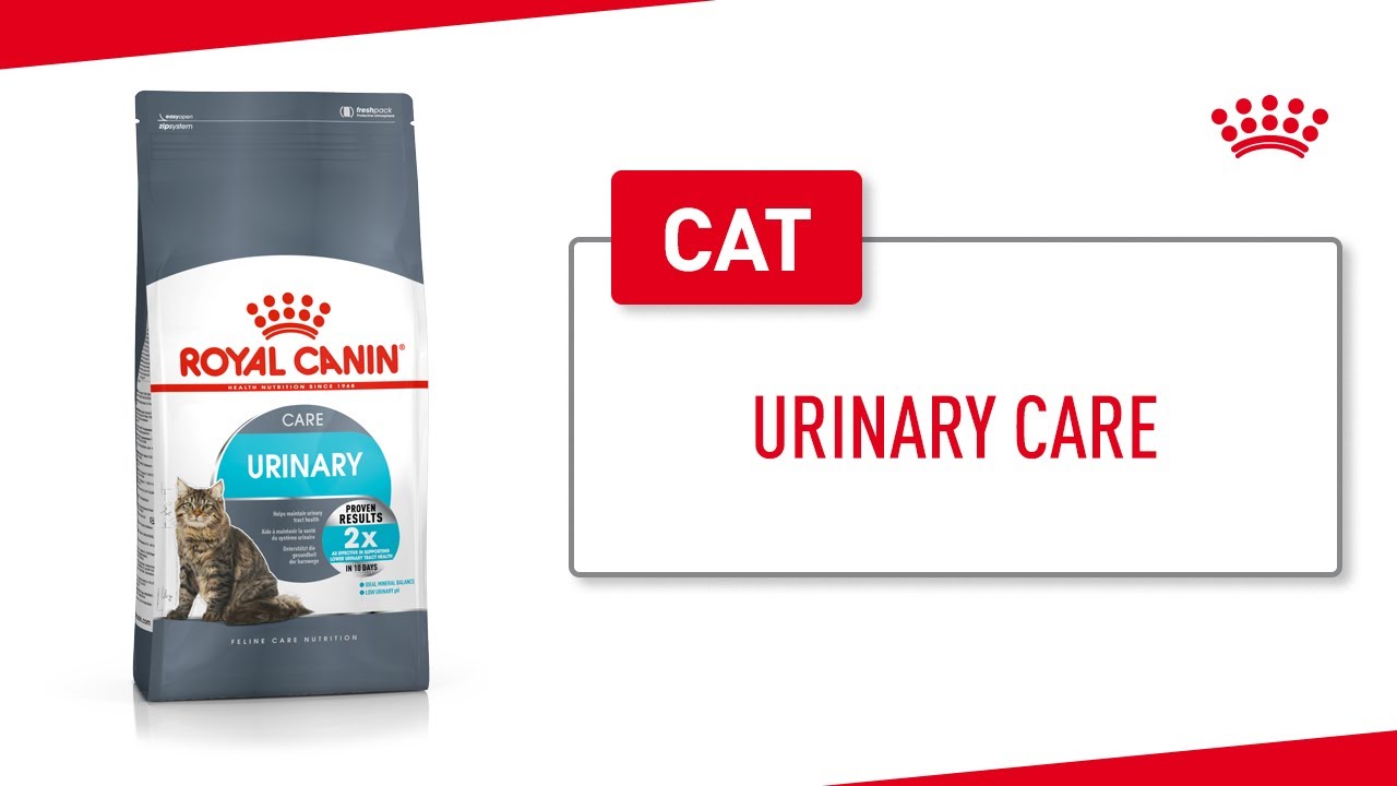 Urinary Care