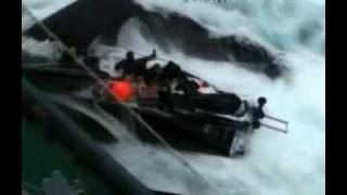 Did whaling activists lie about antarctic collision