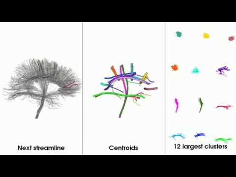 A visual description of the QuickBundles algorithm as it runs