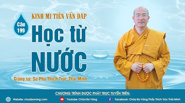 "Học từ nước" | Câu 199 Kinh Mi Tiên Vấn Đáp | Thầy Thích Trúc Thái Minh