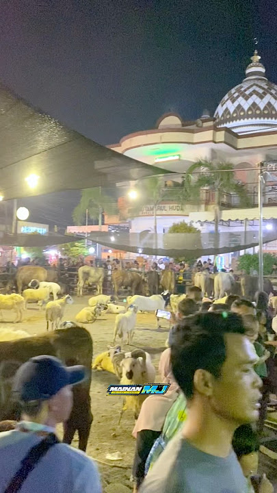 Hewan Qurban Desa Bodelor 2025 #iduladha2025 #hewanqurban #qurban ##qurban2025