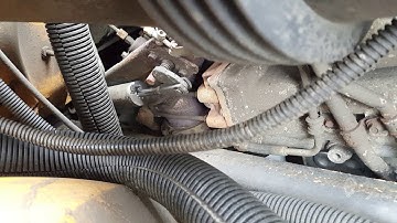 MaxxForce DT Diesel Will Not Run No Engine Codes